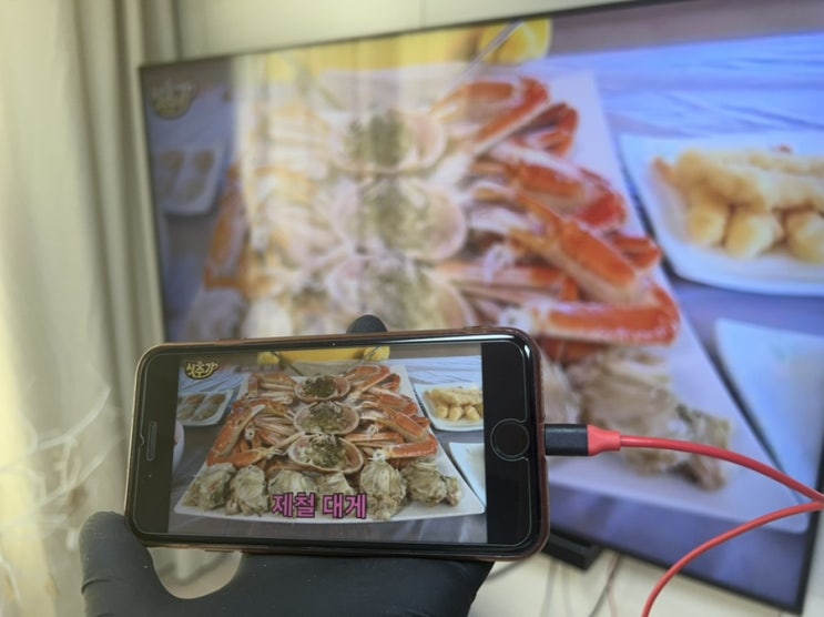 아이폰 화면을 TV로 즐기세요! 아이폰8과 아이폰13프로맥스로 경험해 본, '케이베스트 TV 아이폰 미러링케이블' 리뷰
