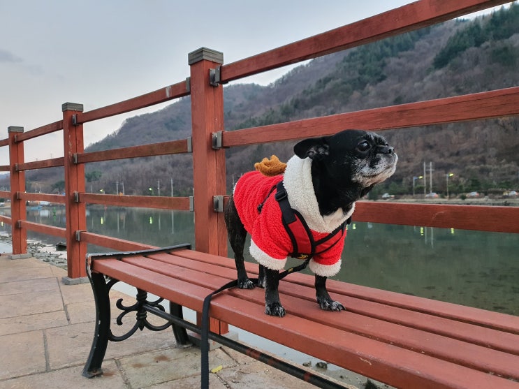  창원 산책하기 좋은 해안길 걷기
