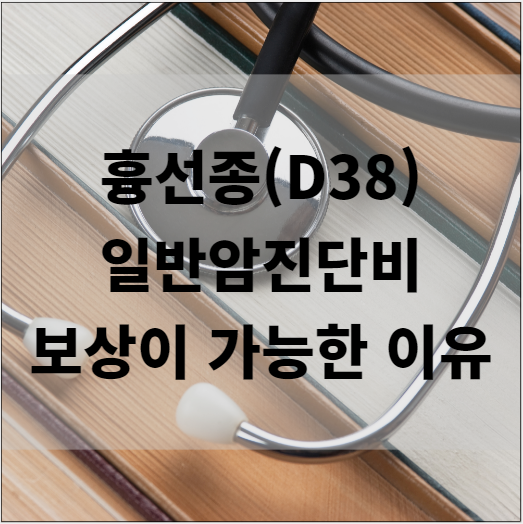  D38 경계성 종양 흉선종 일반암진단비 보상이 가능한 이유