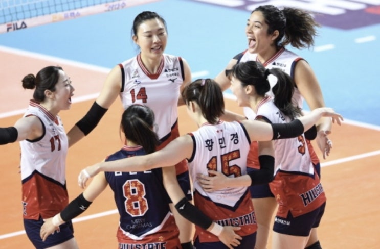 KOVO 프로배구 국내 남자배구 현대캐피탈 OK금융그룹 여자배구 페퍼저축은행 IBK기업은행 KOVO 프로배구 국내 남자배구 현대캐피탈 OK금융그룹 여자배구 페퍼저축은행 IBK기업은행