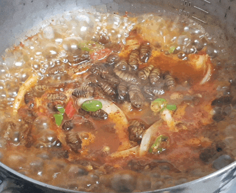번데기 탕 만드는 법 술안주로 좋은 통조림 요리 번데기 탕 만드는 법 술안주로 좋은 통조림 요리