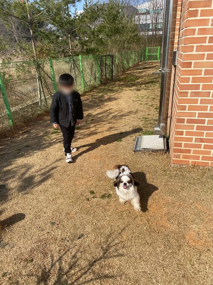  경기도 화성, 유기견 센터 방문. 경기도 도우미견 나눔센터