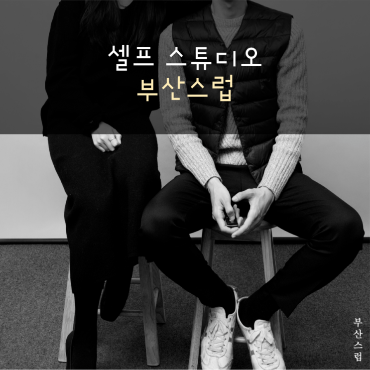  파충류 집사의 일상) 부산 셀프 스튜디오 부산스럽