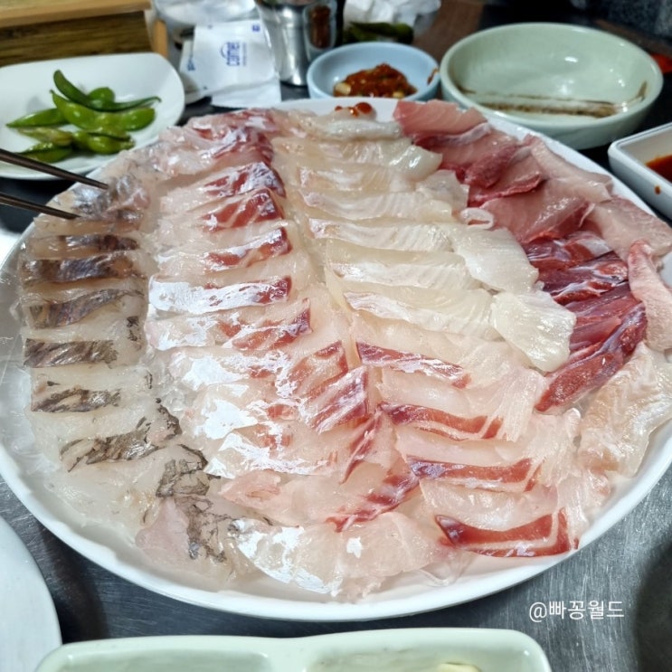  [독립문맛집] 싱싱하고 두툼 쫄깃한 회가 맛있는 <완도집>
