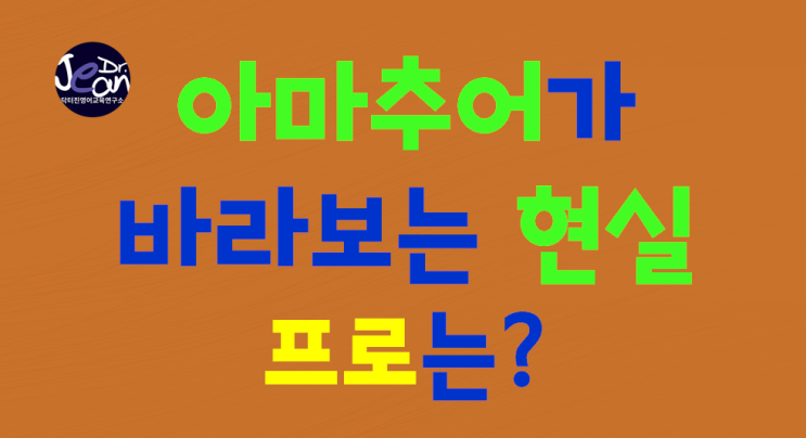  아마추어가 바라보는 현실