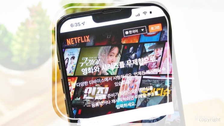  넷플릭스 계정 삭제, 뭐 이런 경우가 다있지?