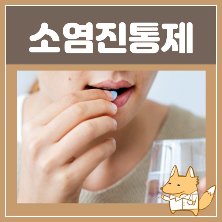  소염진통제 : 이부프로펜 부루펜(부루펜정) 복용법, 효능 부작용 간단정리