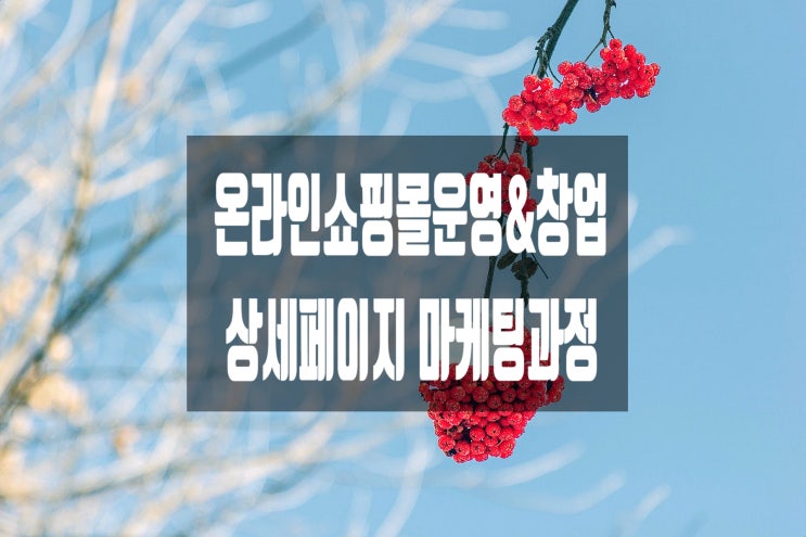 [홍대]온라인쇼핑몰운영&창업 상세페이지마케팅과정