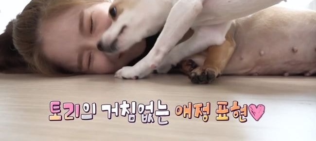 유기견 입양해 선한 영향력 펼친 아이돌 유기견 입양해 선한 영향력 펼친 아이돌
