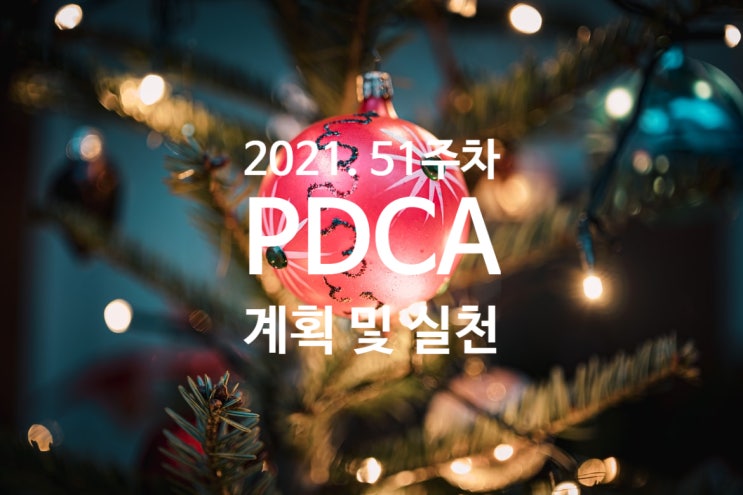  2021년 계획과 실천 51주차 점검[2021년을 마무리하며..]
