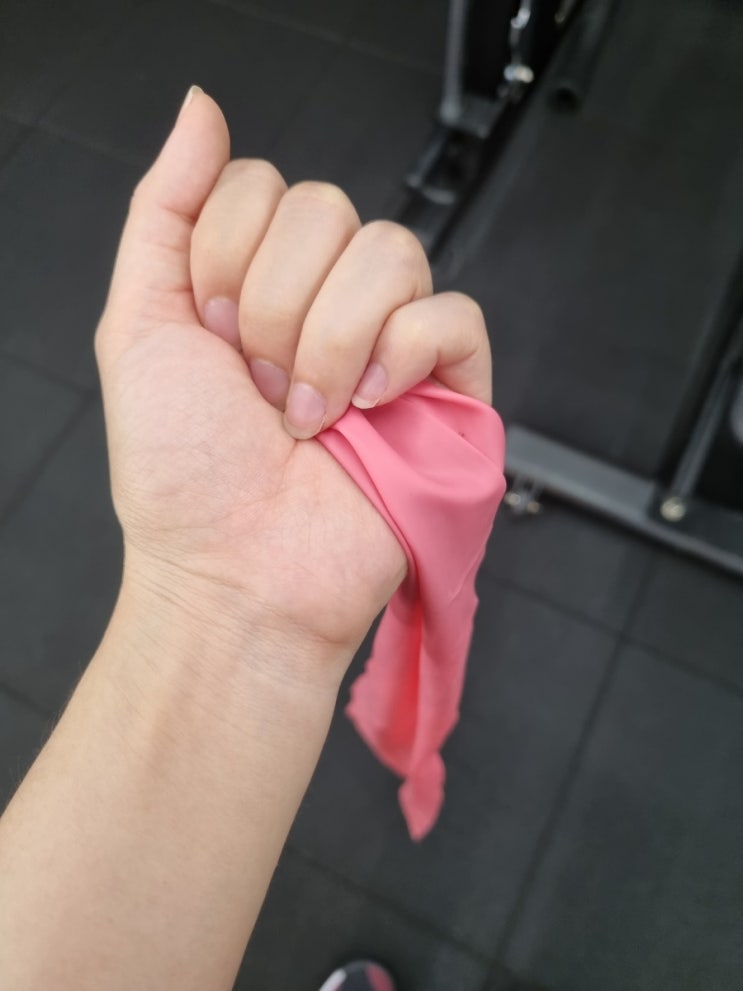 [운동일지] 불광 에이블짐 개인PT - 4회차 (등운동, LOW ROW, FROG UGRIP 등운동)