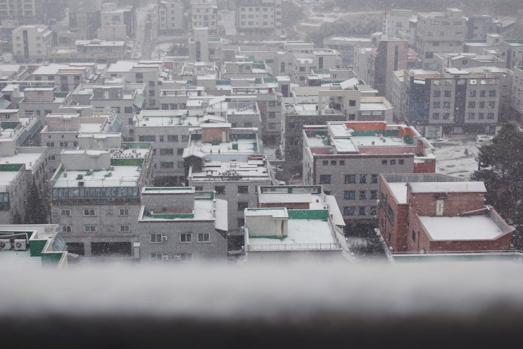  2021. 12. 27 눈 온다..