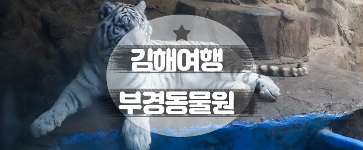 [김해] 부산에서 가장 가까운 김해 동물원 추천 : 부경동물원 (feat. 할인정보)