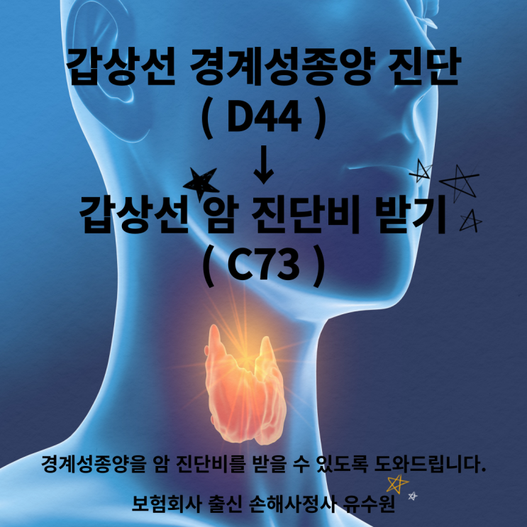  갑상선 경계성종양 (NIFTP, D44), 일반암 진단비 (C73) 받을 수 있습니다.