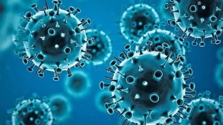Omicron surpasses delta as dominant coronavirus strain