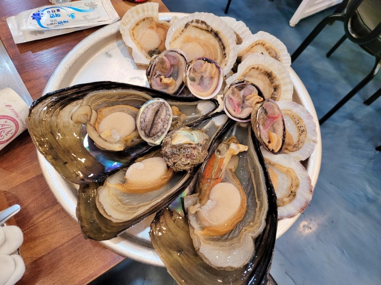  울산 조개어판장은 성안동 조개구이 맛집
