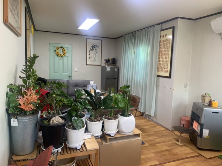  춘천 사주 잘 보는 곳 : 송하철학관