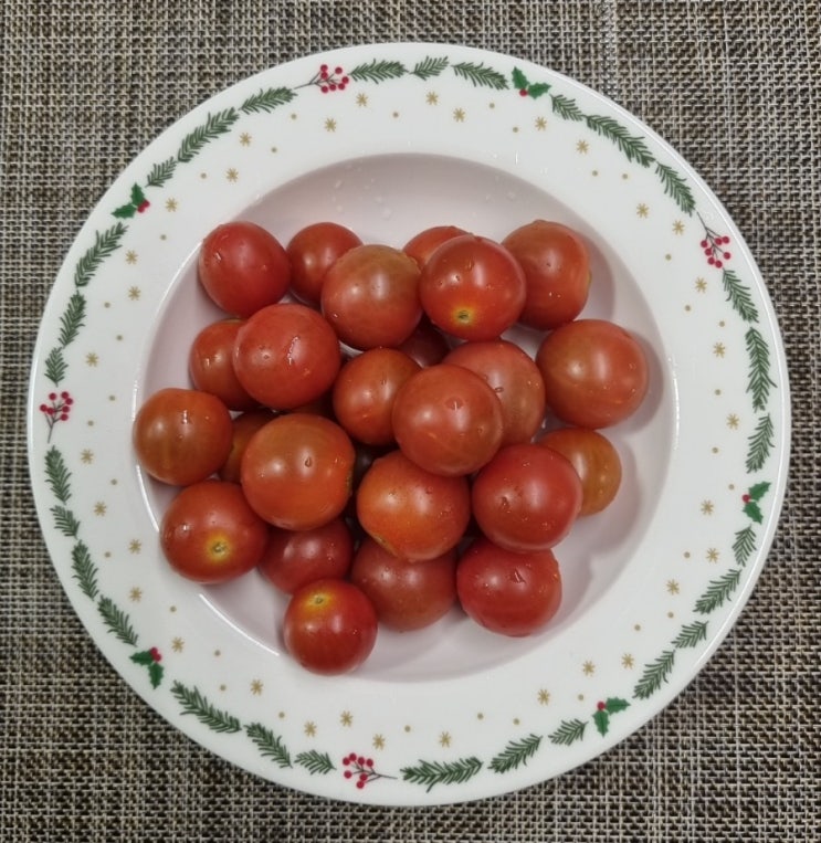 달콤한 토마토, 토망고보다는 부작용 없는 캔디토마토 구입 솔직후기 달콤한 토마토, 토망고보다는 부작용 없는 캔디토마토 구입 솔직후기