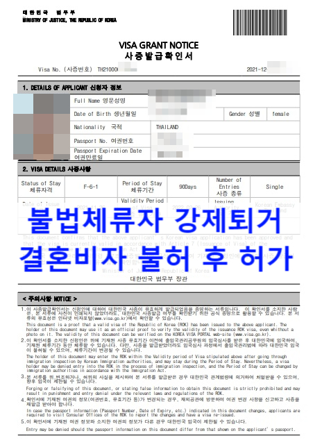 불법체류자강제퇴거_G1비자(난민)소지자_국제결혼(혼인신고)후 결혼비자F6 허가(태국 베트남 중국 우즈베키스탄 러시아 등)