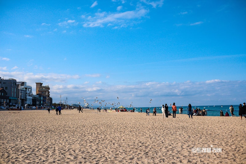 가성비 강릉 호텔 예약하러 가기