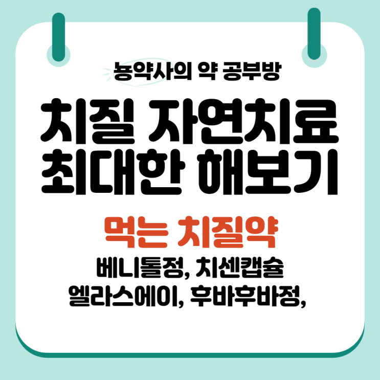  [뇽약사] 치질, 치핵 자연치료 최대한 해보기 1탄, 먹는 치질약 ver (베니톨정, 치센캡슐, 치쏙정, 엘라스에이, 후바후바정)