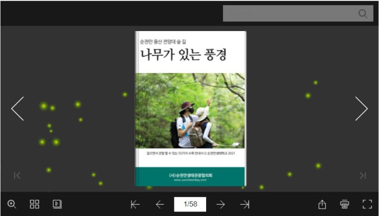  순천만 용산 전망대 숲 길