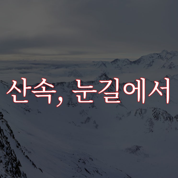  2ch 산속의 눈길에서 / 레전드 무서운 이야기