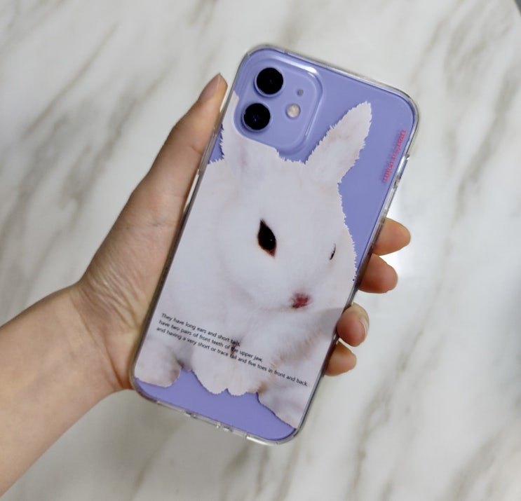  댓츠어포인트 토끼 케이스 rabbit case 후기