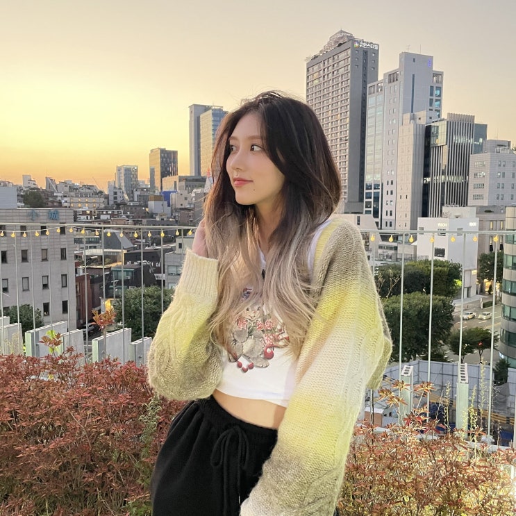  20211227 (가을)