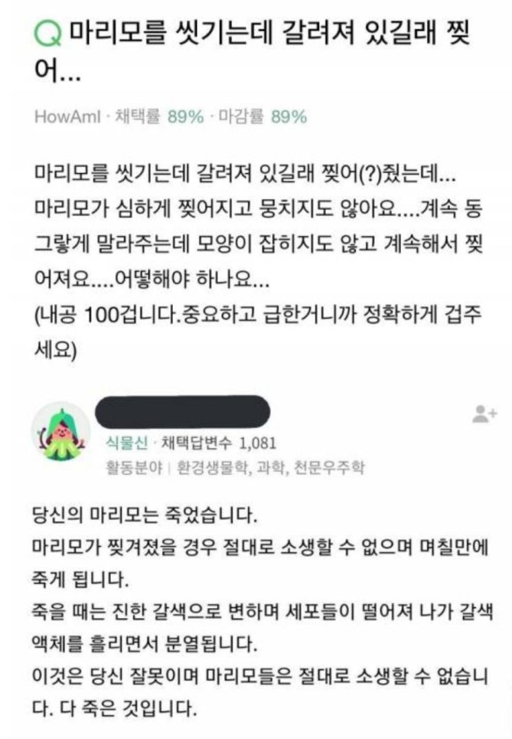  네이버 식물신의 분노