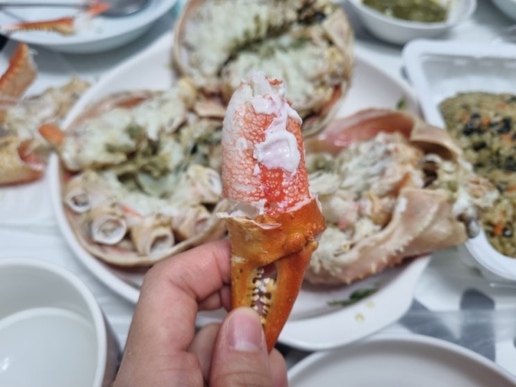  마산 어시장 둥지 횟집 _ 대게 먹기 좋게 손질해 줘요! 포장하세요.