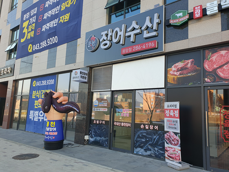 청주장어맛집 민물풍천장어 '장어수산 용암점'