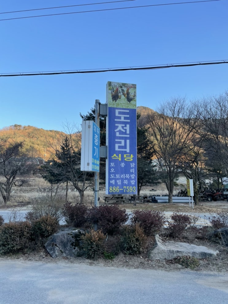  동네주민도 찾는 여주 맛집 도전리식당 | 여주 가족식사 | 묵밥 닭볶음탕 오리백숙 | 여주 골프 식사
