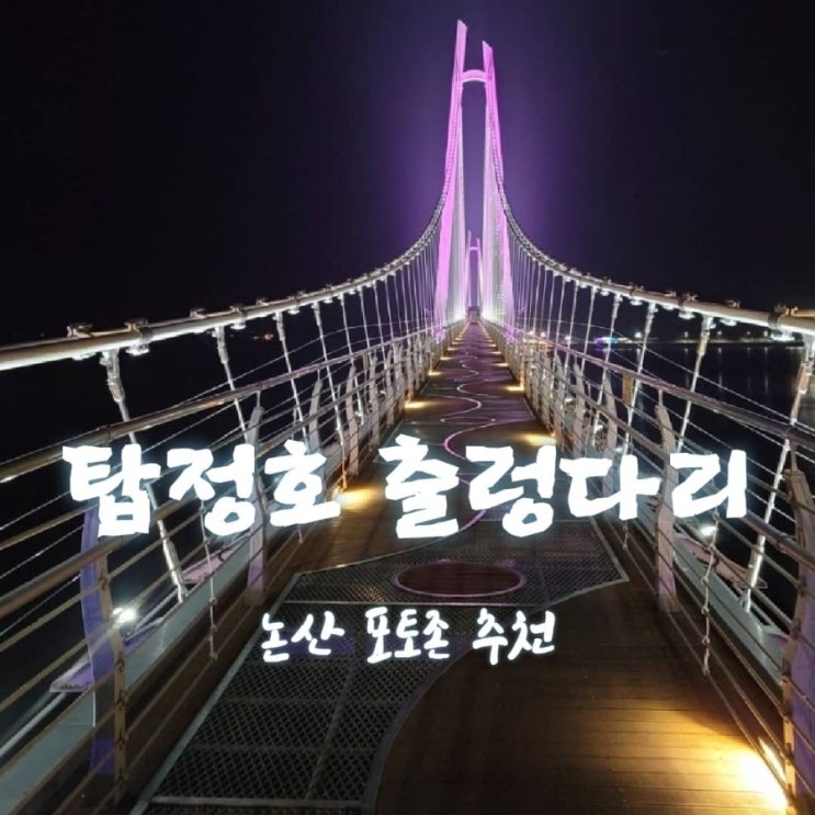  탑정호 출렁다리 꿀팁 및 소개(주간,야간) [충남 논산 가볼만한곳 feat 김총무추천 ]