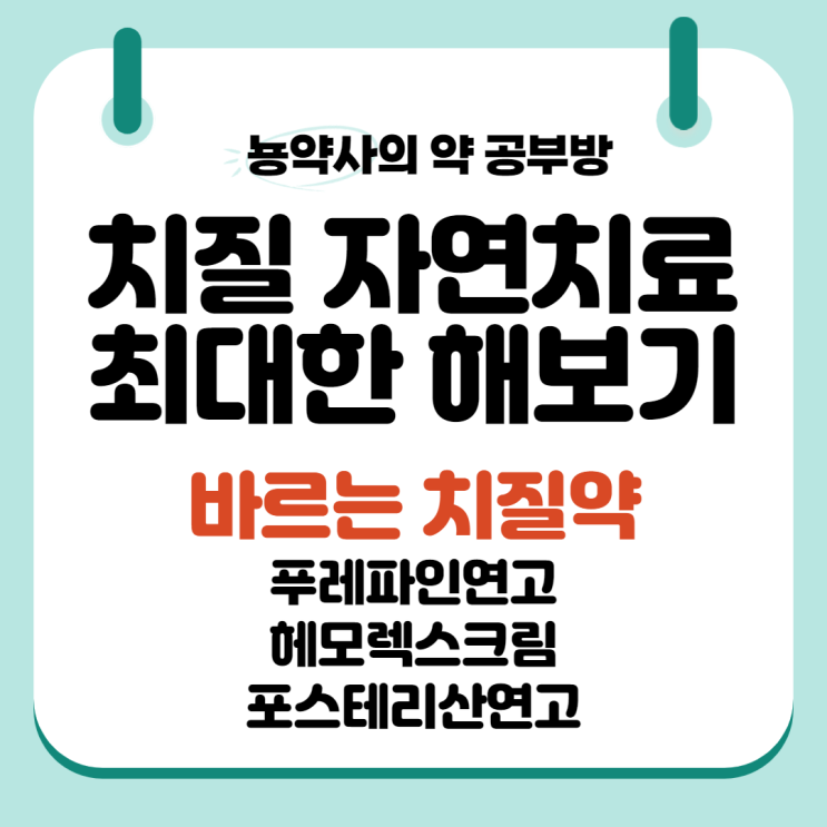 [뇽약사] 약국에서 치질, 치핵 자연치료 최대한 해보기 2탄, 바르는 치질약, 치질 연고 ver (푸레파인연고, 헤모렉스크림, 포르테리산연고)