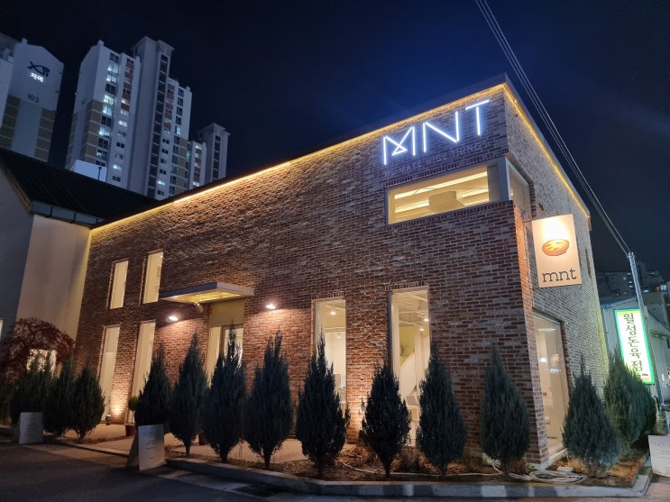  대구 카페] 월성동 크로플이 맛있는 '카페 mnt'