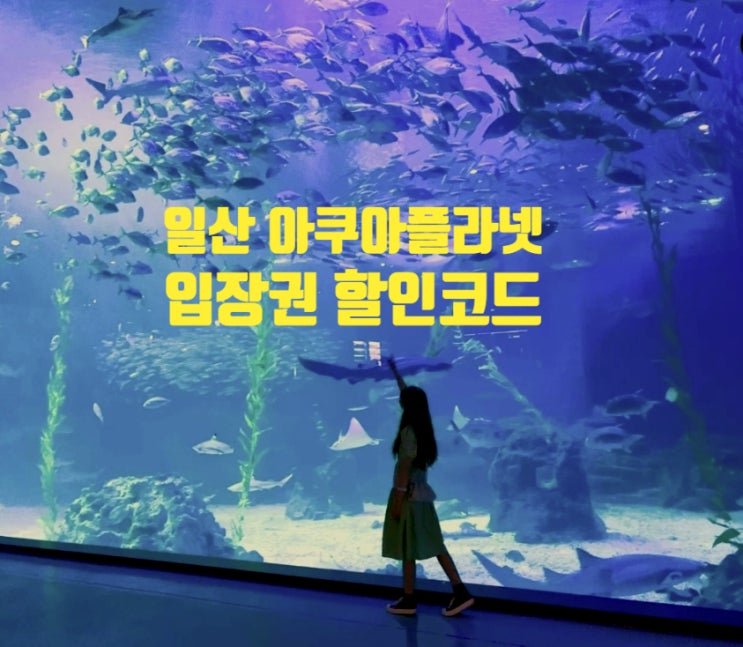 일산 아쿠아플라넷 입장권 할인 기간 한정 일산 아쿠아플라넷 입장권 할인 기간 한정