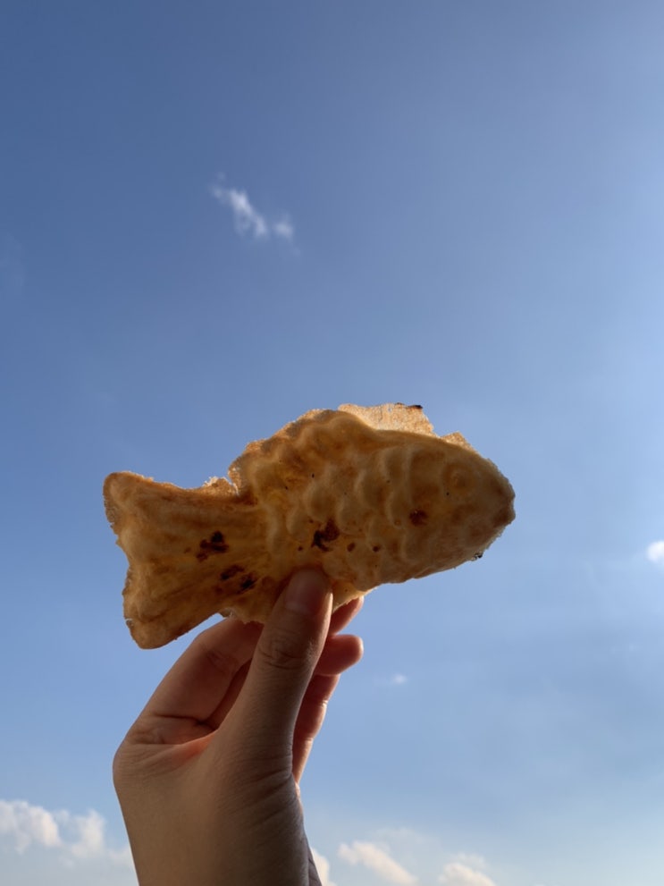  겨울에 현금을 꼭 가지고 다녀야 하는 이유:)
