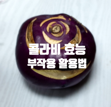  콜라비 효능 부작용 (ft. 활용법 요리) 껍질도 드세요. 차 생채 청혈 주스 샐러드 두부 찜
