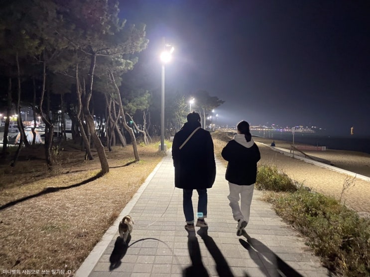  강원도 속초, 고성 애견 동반 여행 : 파인리즈CC, 영랑호수윗길, 속초해수욕장, 바다정원카페, 천학정, 항아리 감자옹심이