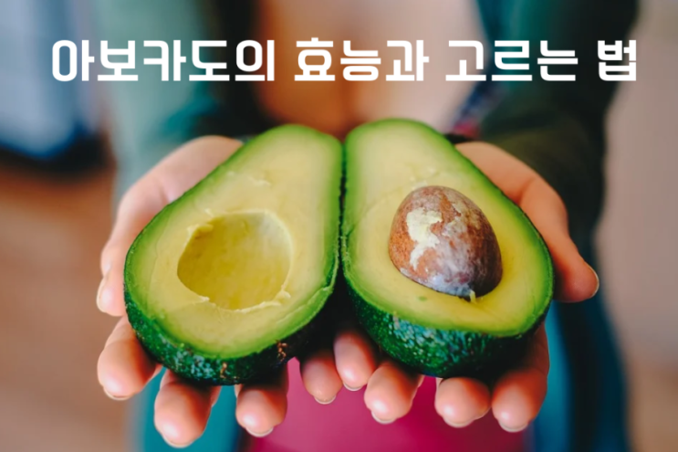  9가지 아보카도 효능과 고르는법 