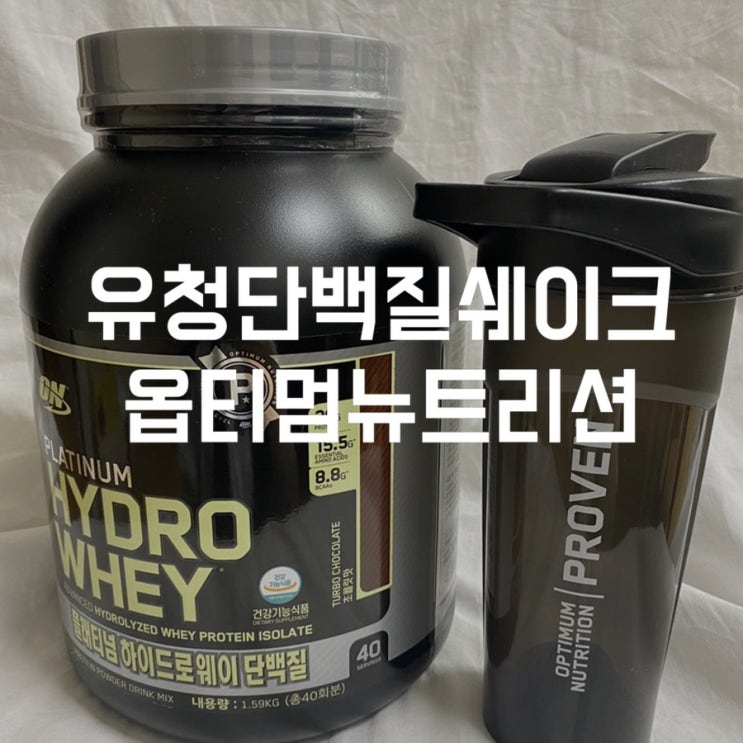  옵티멈뉴트리션 유청단백질보충제 초코맛으로 부담없이 벌크업 도전해보자