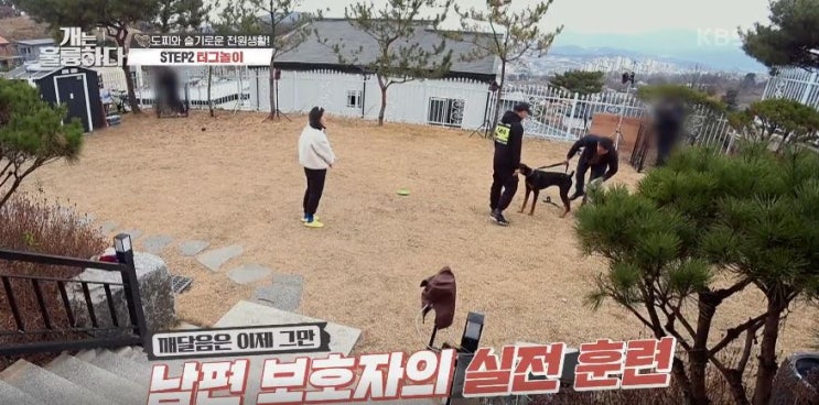  개는 훌륭하다 재방송 109회 도찌 옆집 웰시코기가 짖어도 보호자 에게 집중