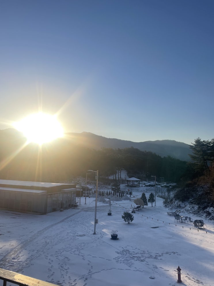  [영월, 제천 여행] 낭만적인 겨울 강원도(동해 묵호항, 에코빌리지 불멍, 두꺼비식당)