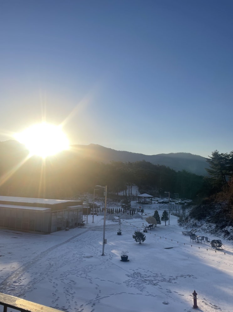 [영월, 제천 여행] 낭만적인 겨울 강원도(동해 묵호항, 에코빌리지 불멍, 두꺼비식당)