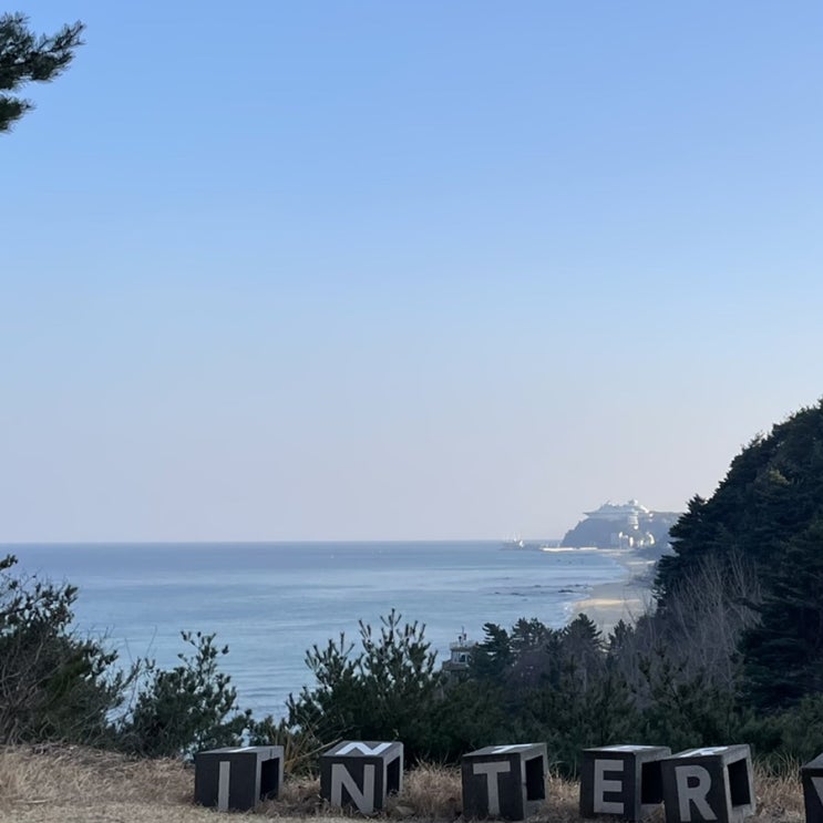  동해 바다를 품은 강릉 오션뷰 카페 스테이인터뷰