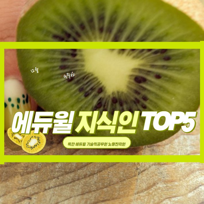 12월 4주차 에듀윌 지식인 Q&A TOP 5