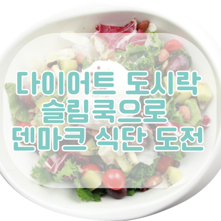  다이어트 도시락 하루 900칼로리로 덴마크 식단 도전
