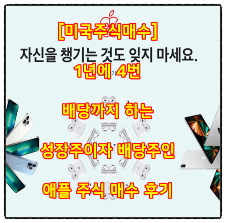  [미국주식매수] 1년에 4번 배당까지 하는 성장주이자 배당주인 애플 주식 매수 후기