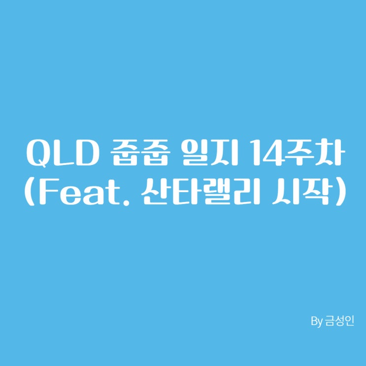QLD 줍줍 일지 14주차(feat. 산타랠리 시작)
